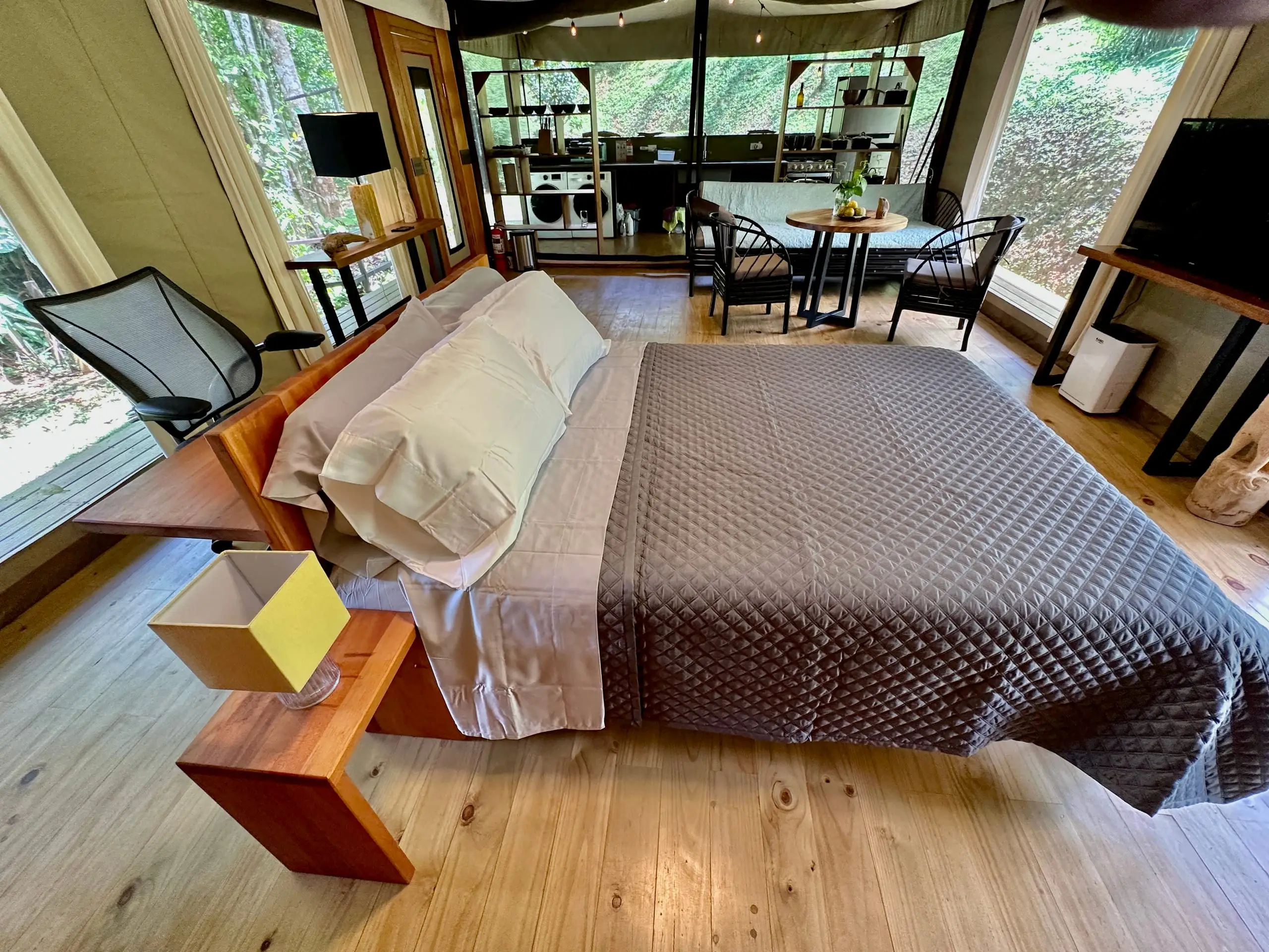 Morning light across the bed and pine floor