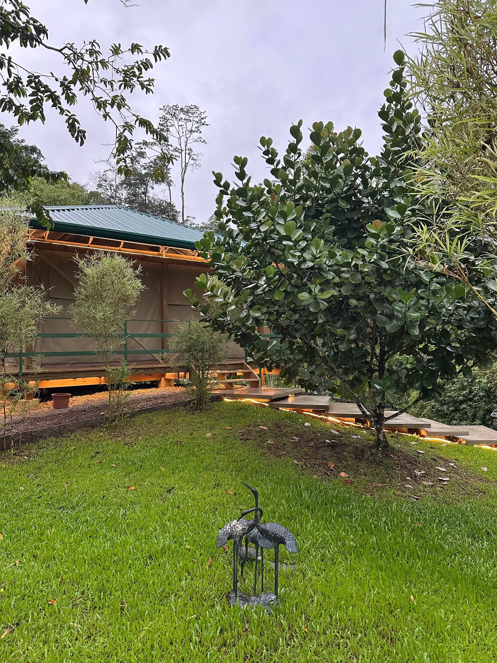 The tent and its garden in daylight