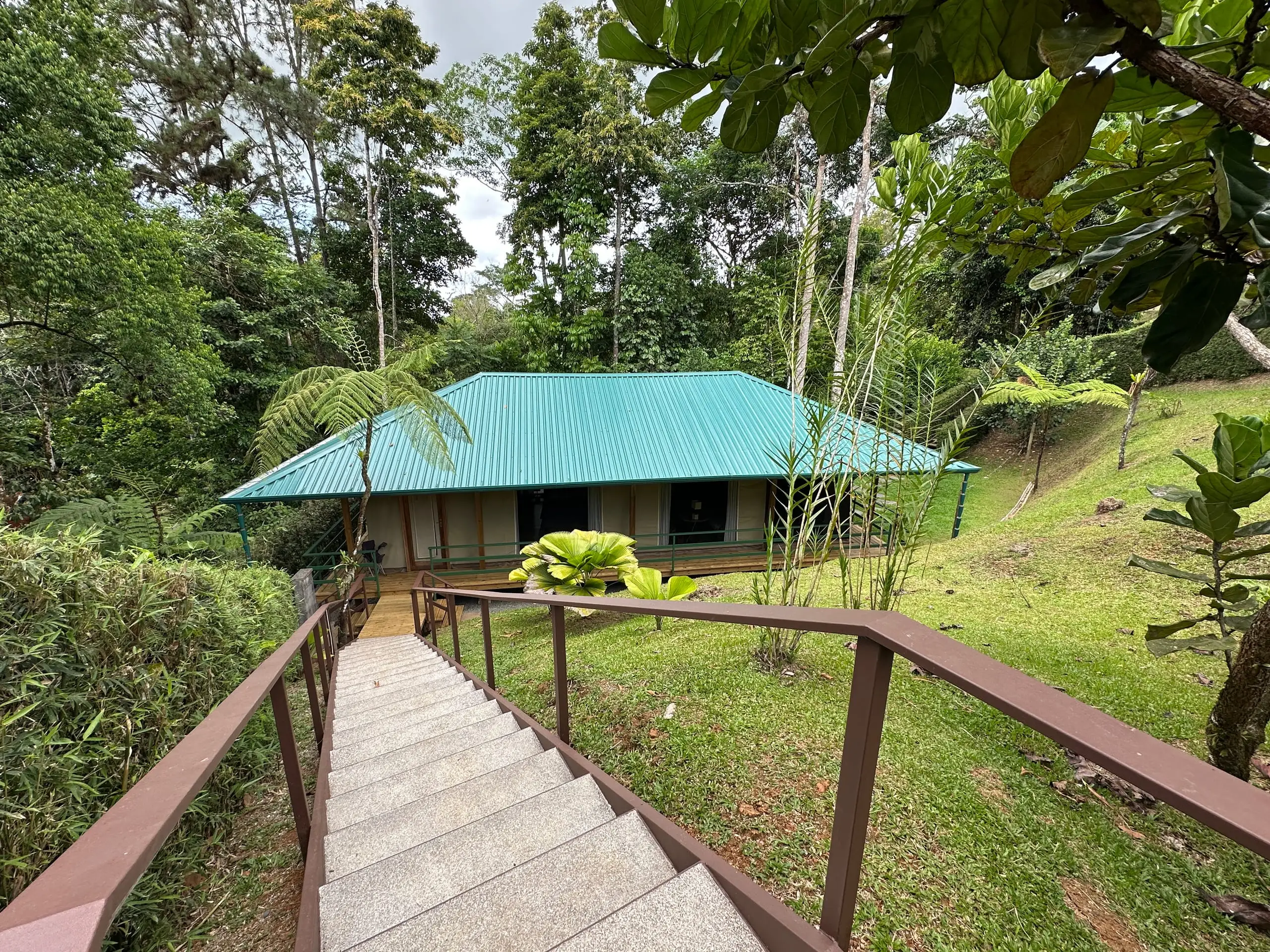 The tent seen from the steps above
