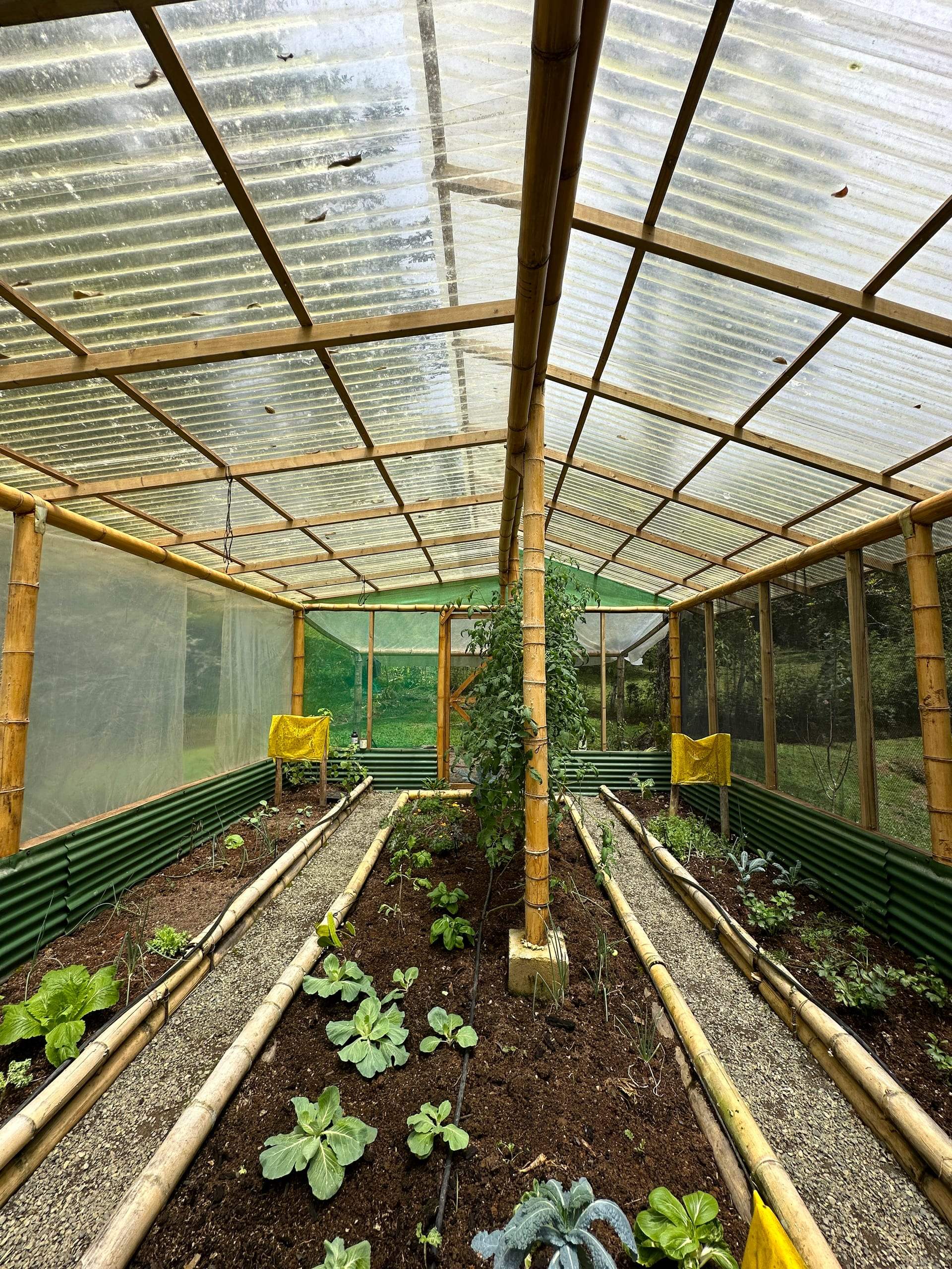 Down the aisle between the beds, bamboo posts carrying the roof