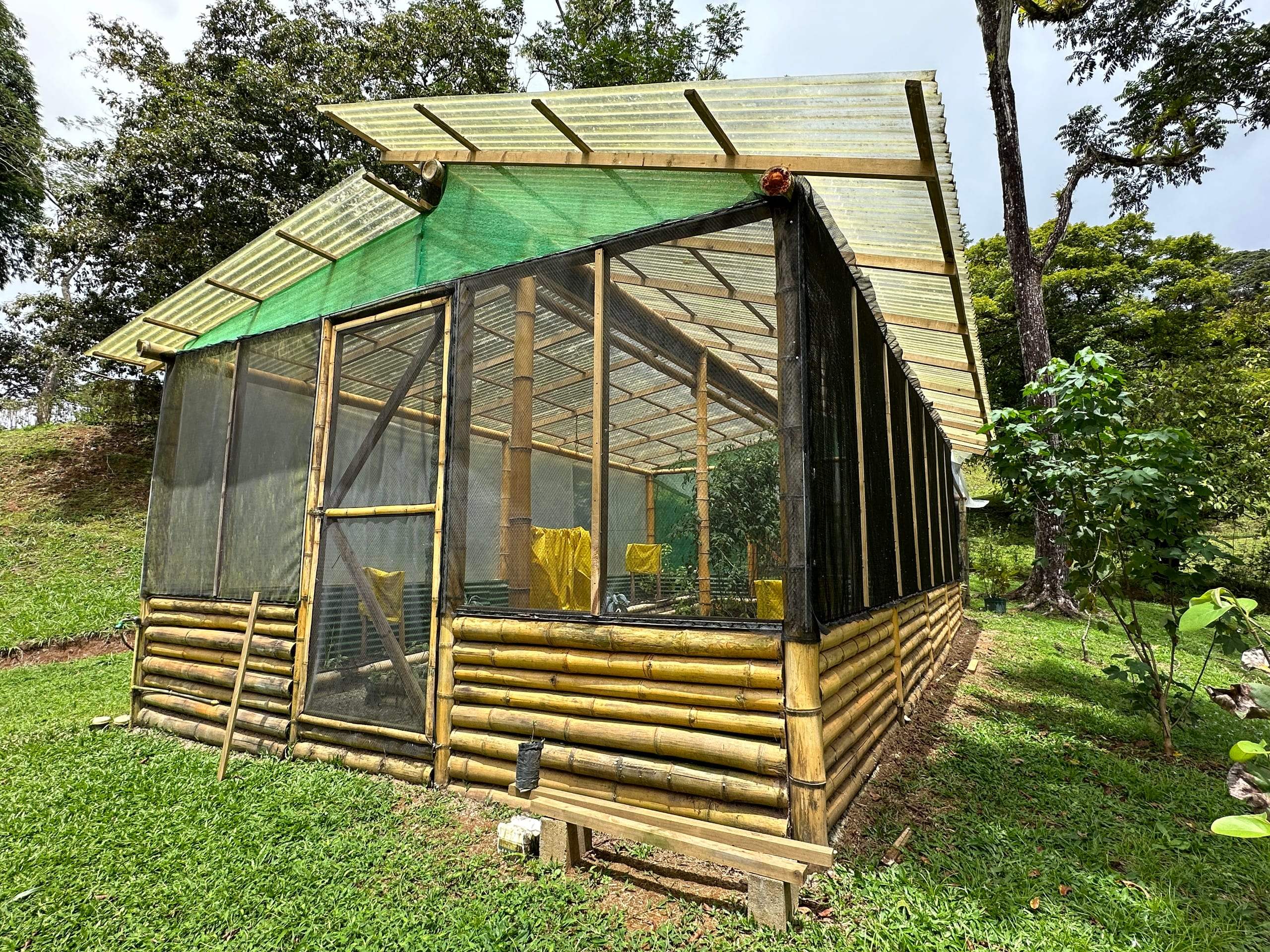 The greenhouse from the slope, its bamboo frame and log base under a translucent roof