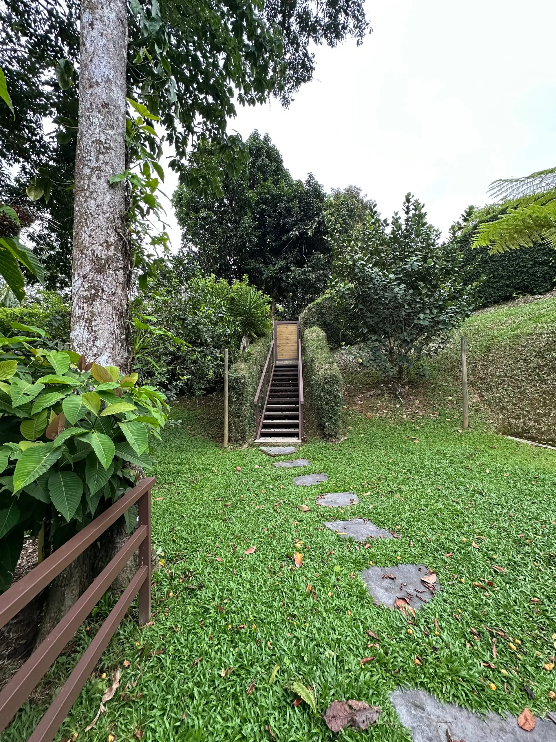 Stepping stones across the lawn to the steps at the bank