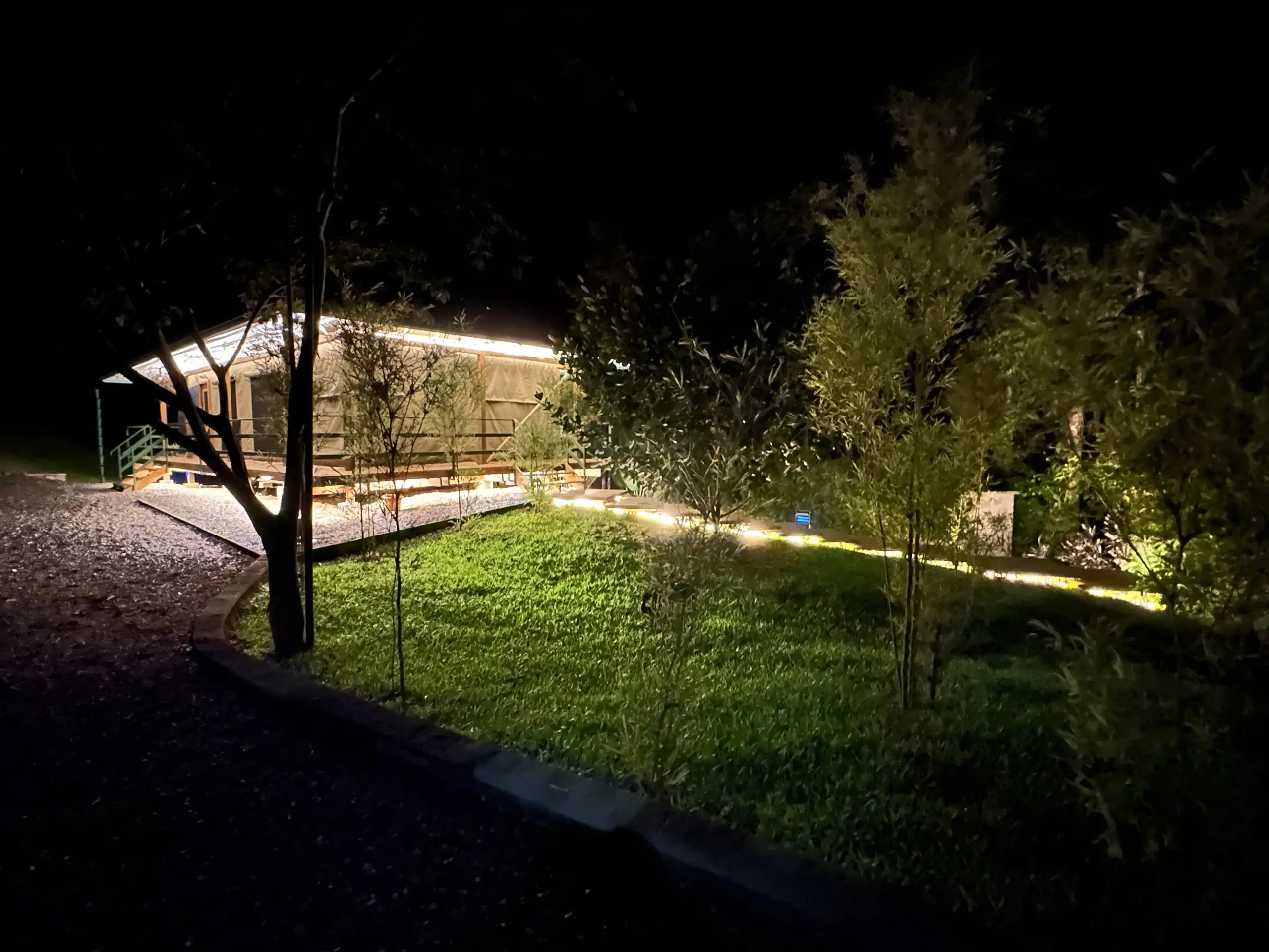 The lawn and treeline under low path lighting