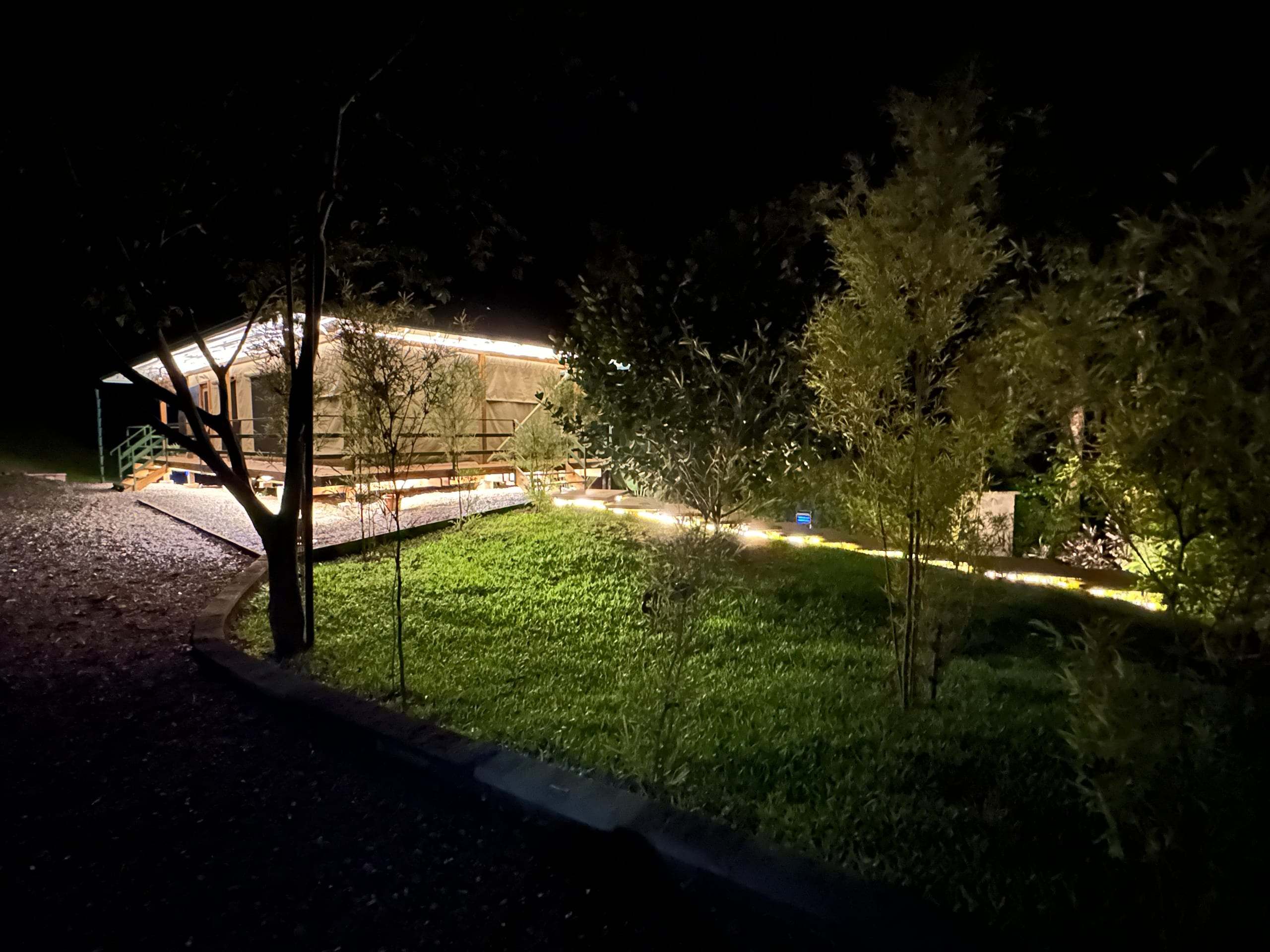 The lawn and treeline under low path lighting after dark
