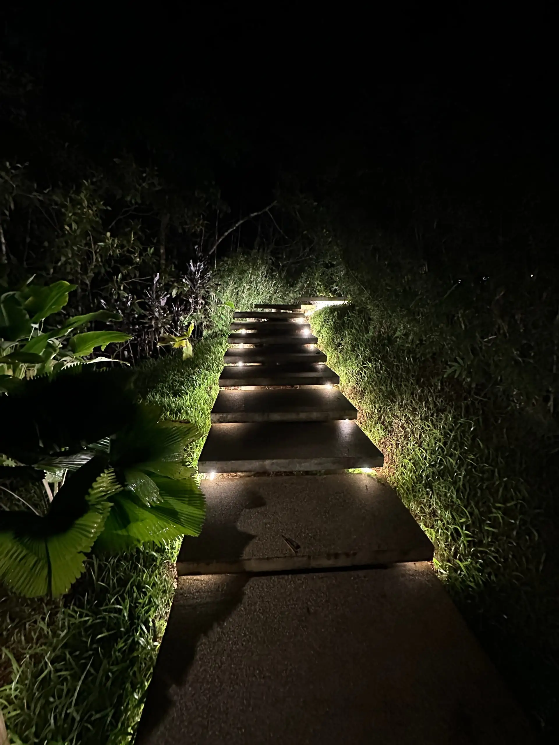Lit stepping stones crossing the lawn at night