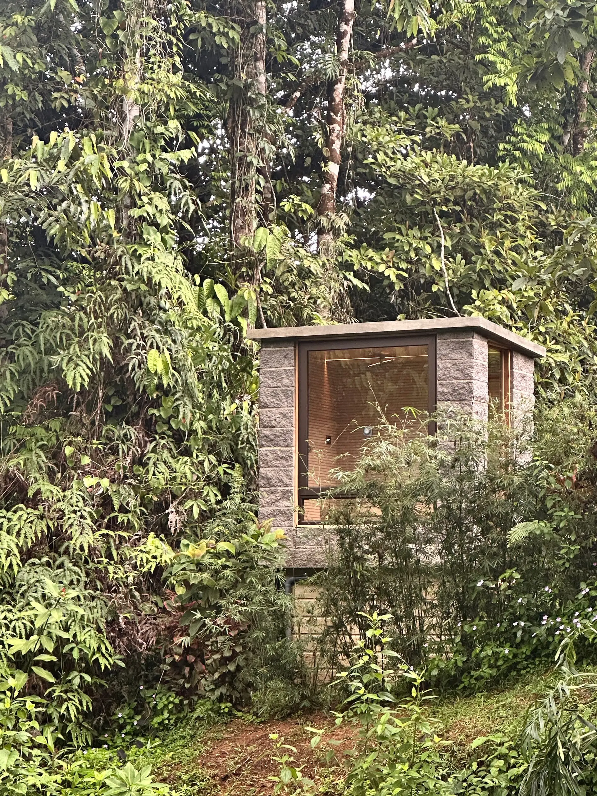 The steam room set into dense jungle, seen from the slope above