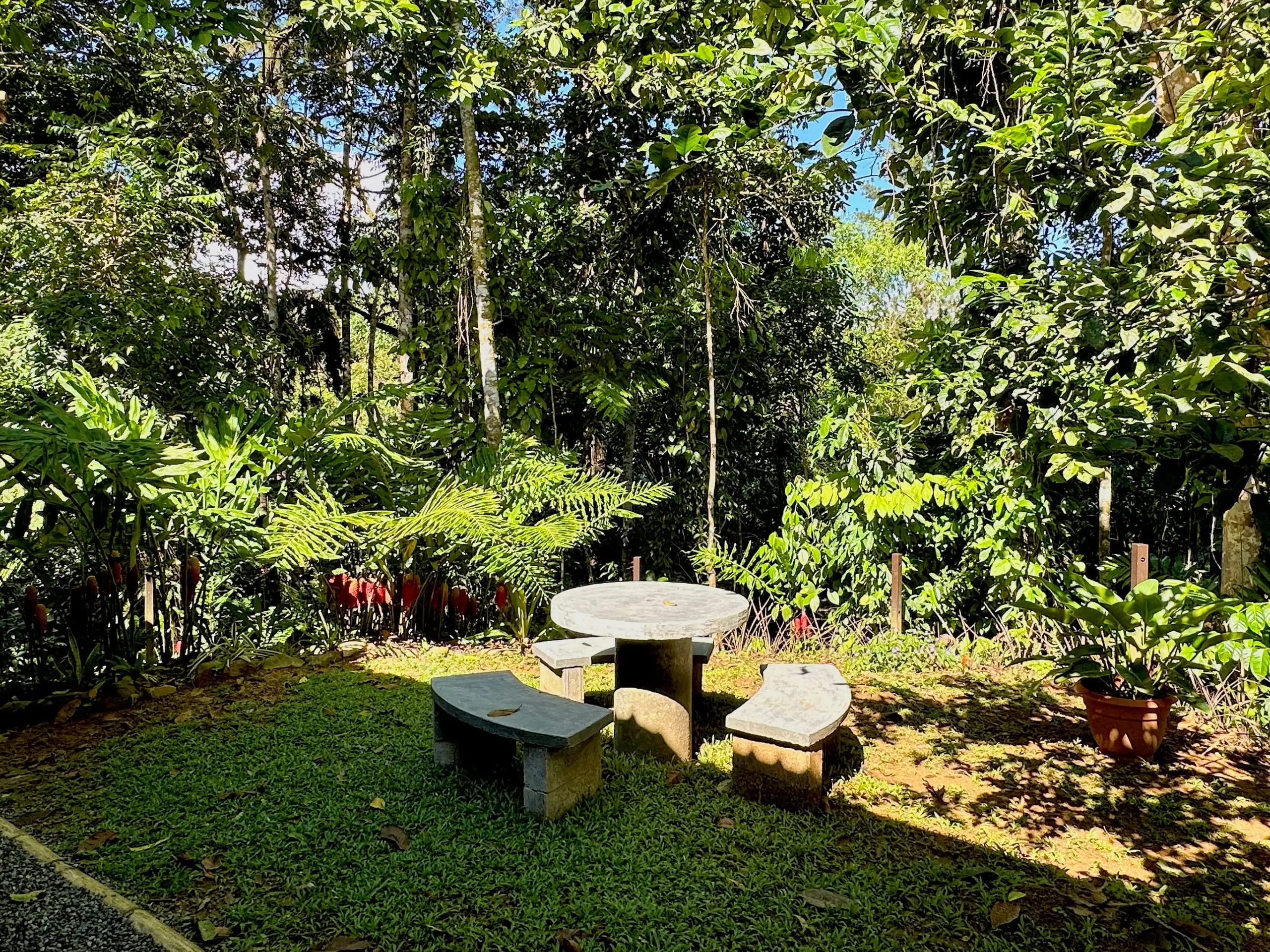 The stone table and seats set into the garden