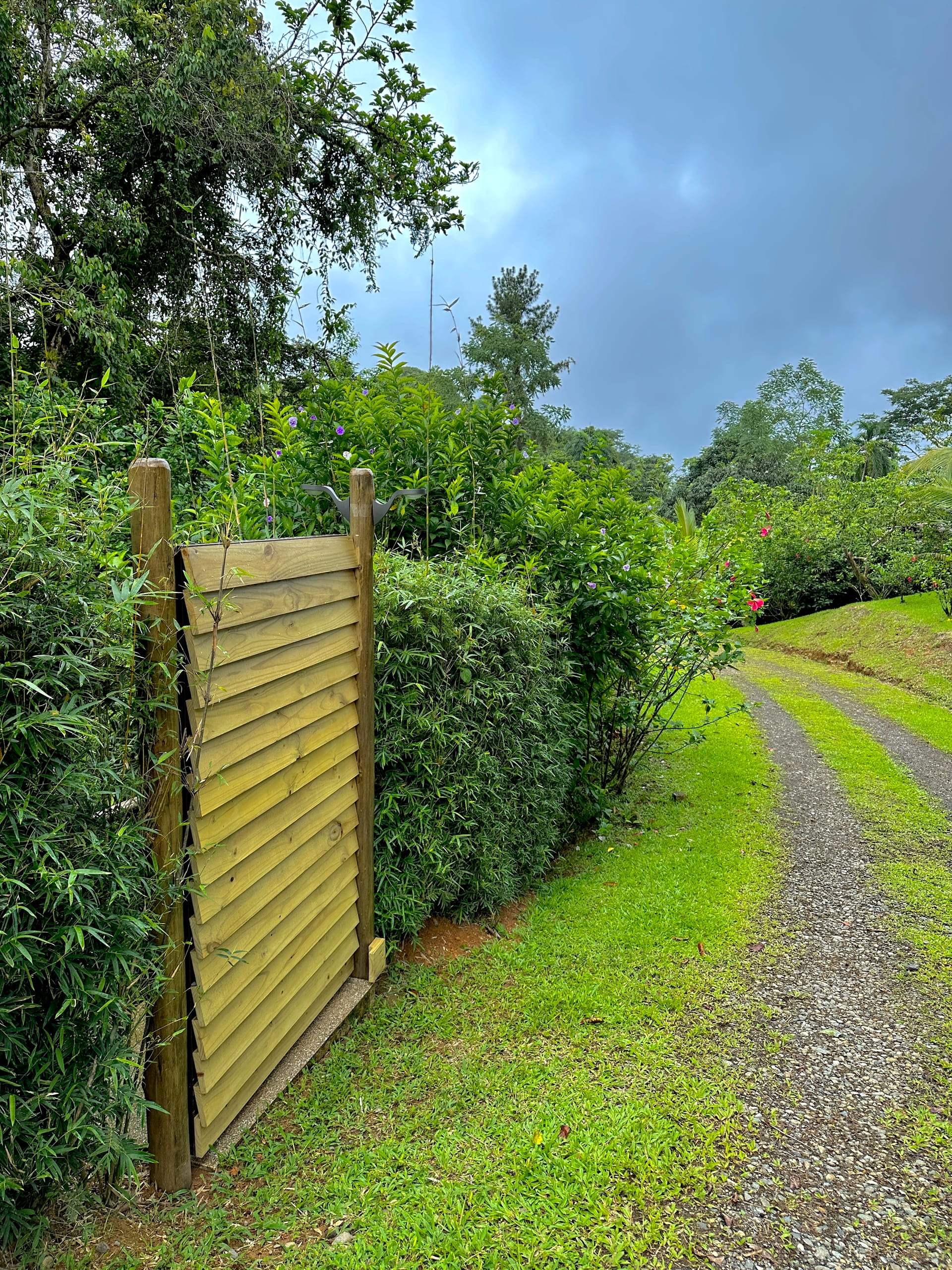 The green track running out through the finca